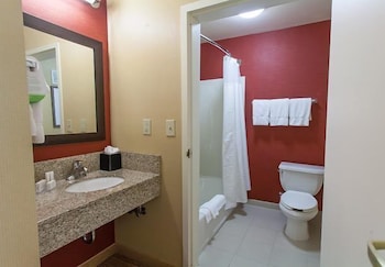 Room, 1 King Bed