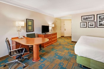 Room, 1 King Bed, Non Smoking