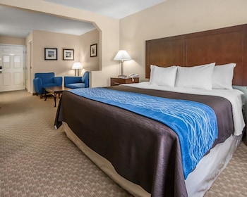 Suite, 1 King Bed with Sofa bed, Non Smoking