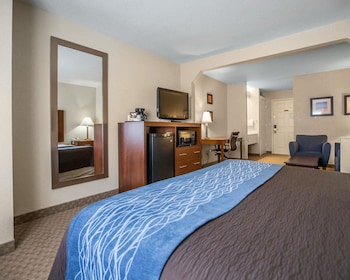 Suite, 1 King Bed with Sofa bed, Non Smoking