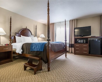 Standard Room, 1 King Bed with Sofa bed, Non Smoking