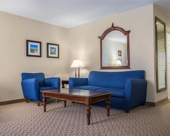 Standard Room, 1 King Bed with Sofa bed, Non Smoking