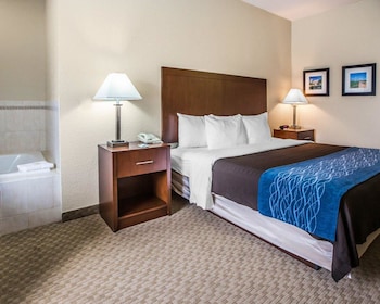 Standard Room, 1 King Bed, Non Smoking