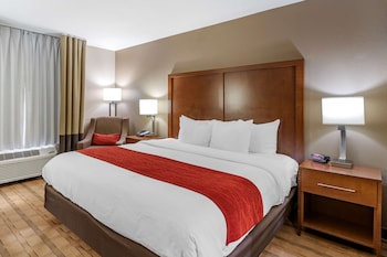 Suite, 1 King Bed with Sofa bed, Non Smoking