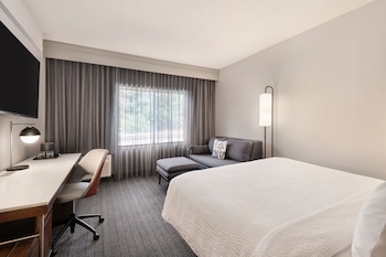 Room, 1 King Bed (Mobility/Hearing Accessible, Tub)