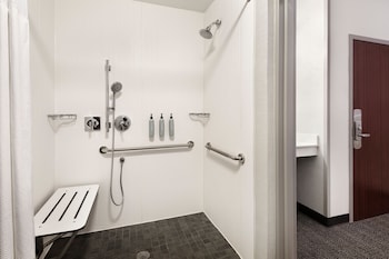 Room, 1 King Bed (Mobility/Hearing Access, Roll-In Shwr)