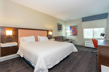 Room, 1 King Bed