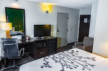 Room, 1 King Bed, Accessible, Non Smoking
