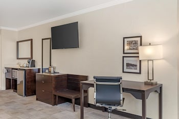Suite, 1 King Bed, Non Smoking, Refrigerator & Microwave (with Sofabed)