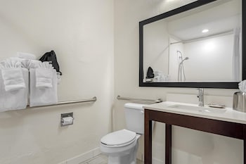 Standard Room, 1 King Bed, Accessible, Refrigerator & Microwave (with Sofabed)