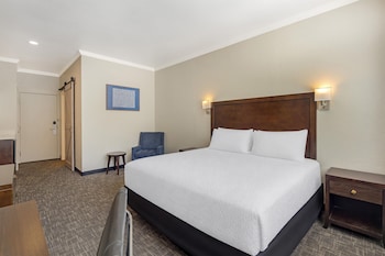 Standard Room, 1 King Bed, Accessible, Refrigerator & Microwave