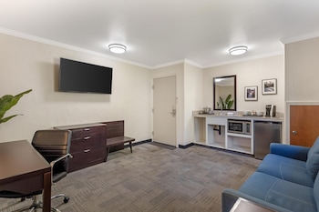 Suite, 1 King Bed, Non Smoking, Balcony (with Sofabed)