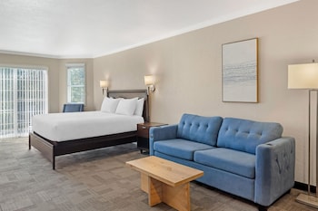 Standard Room, 1 King Bed, Non Smoking, Balcony (with Sofabed)