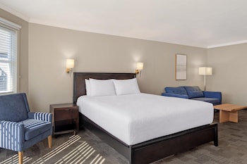 Standard Room, 1 King Bed, Non Smoking, Balcony (with Sofabed)
