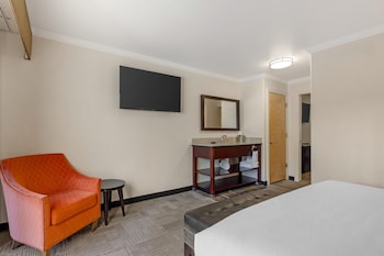 Suite, 1 King Bed, Non Smoking, Balcony (with Sofabed)