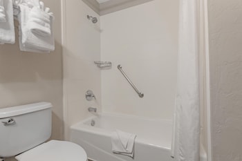 Standard Room, Multiple Beds, Non Smoking, Refrigerator & Microwave (with Sofabed)