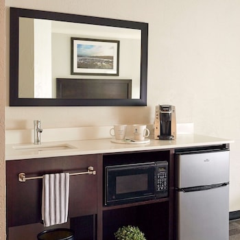 Suite, 1 King Bed, Non Smoking, Refrigerator & Microwave (with Sofabed)