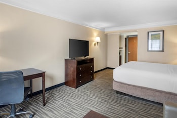 Standard Room, 1 King Bed, Non Smoking, Refrigerator & Microwave