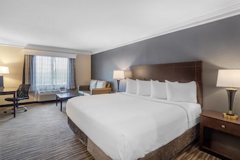 Standard Room, 1 King Bed, Non Smoking, Microwave