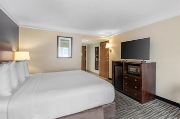 Standard Room, 1 King Bed, Accessible, Refrigerator & Microwave