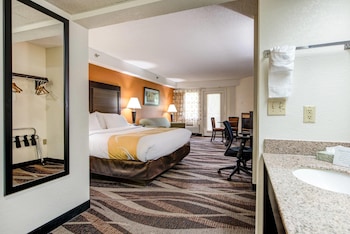 Room, 1 King Bed, Non Smoking, Jetted Tub