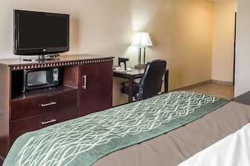 Standard Room, 1 King Bed with Sofa bed, Non Smoking