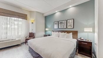 Standard Room, 1 King Bed, Non Smoking