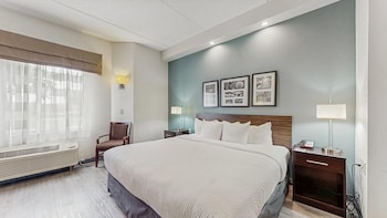 Standard Room, 1 King Bed, Non Smoking