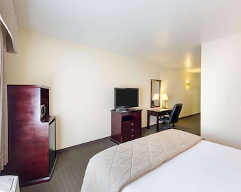 Suite, 1 King Bed with Sofa bed, Non Smoking