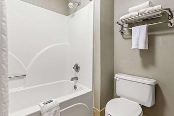 Standard Room, 1 King Bed, Non Smoking, Refrigerator & Microwave