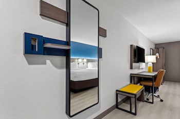 Suite, 1 King Bed with Sofa bed