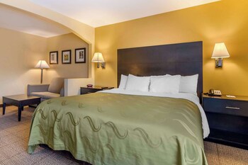 Suite, 1 King Bed with Sofa bed