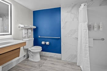 Room, 1 King Bed, Mobility Accessible (Roll-In Shower)