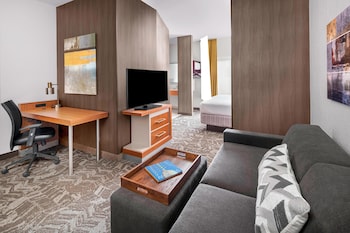 Studio Suite, 1 King Bed with Sofa bed (Mobility/Hearing Accessible, Tub)