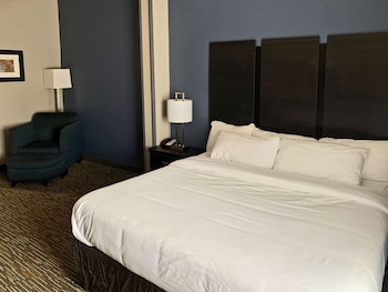 Standard Room, 1 King Bed, Non Smoking
