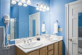 Indigo Bunting Suite