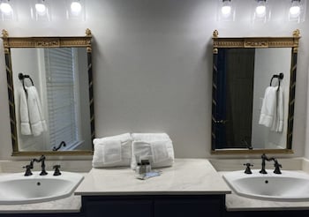 Blue Bird Suite