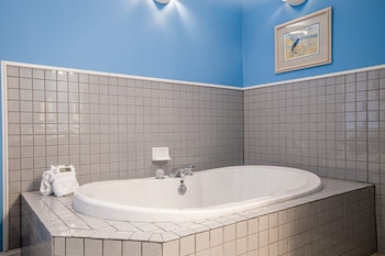 Indigo Bunting Suite