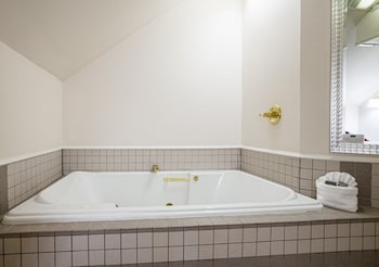 Falcon Suite