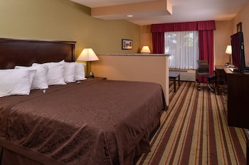Suite, 1 King Bed, Non Smoking, Refrigerator & Microwave