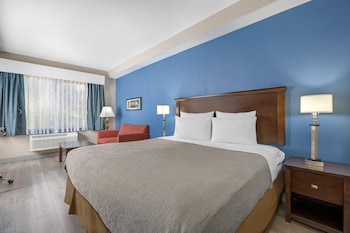 Suite, 1 King Bed, Accessible, Refrigerator & Microwave
