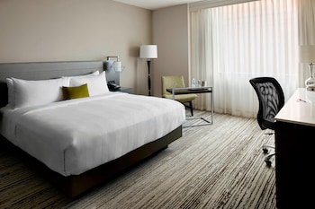 Room, 1 King Bed