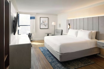 Room, 1 King Bed